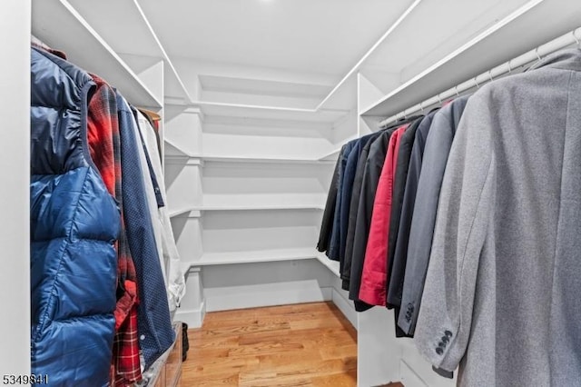 spacious closet featuring wood finished floors