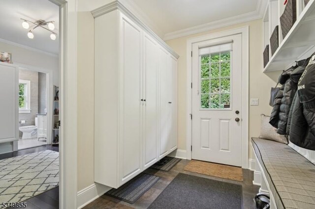 mudroom with ornamental molding, baseboards, and a healthy amount of sunlight