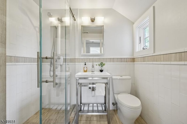 bathroom featuring toilet, tile walls, a shower stall, and a sink