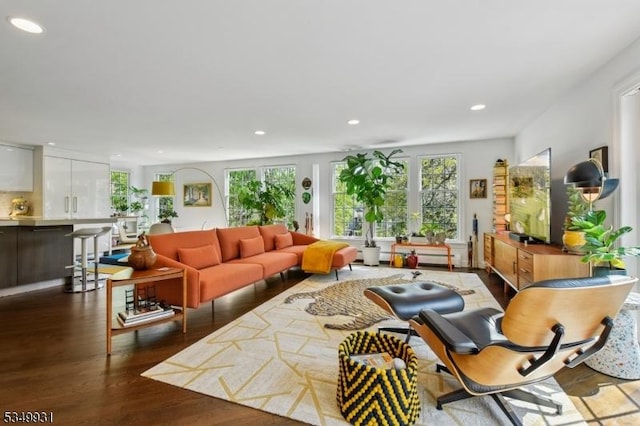 living area featuring recessed lighting and dark wood finished floors