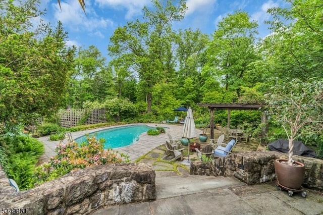 1056 Buxton Rd, Bridgewater Twp, NJ 08807 - view of pool with a patio area