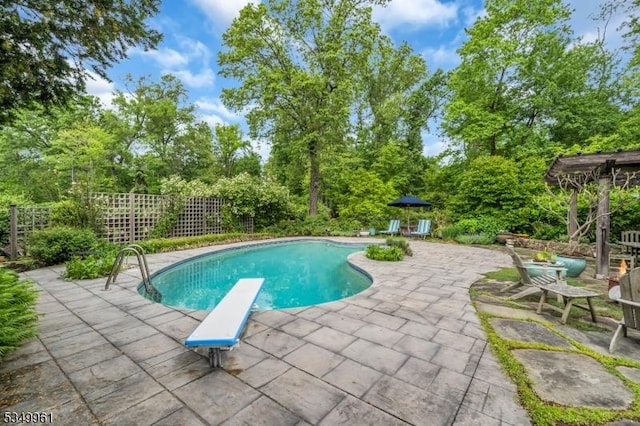 1056 Buxton Rd, Bridgewater Twp, NJ 08807 - swimming pool with a patio, view of wooded area, and a diving board