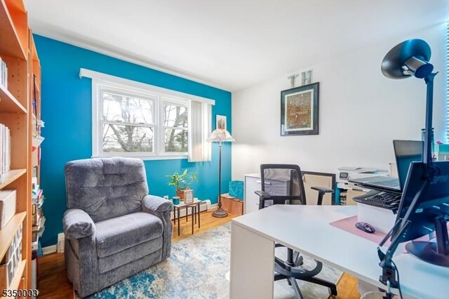 office with wood finished floors, a baseboard radiator, and baseboards