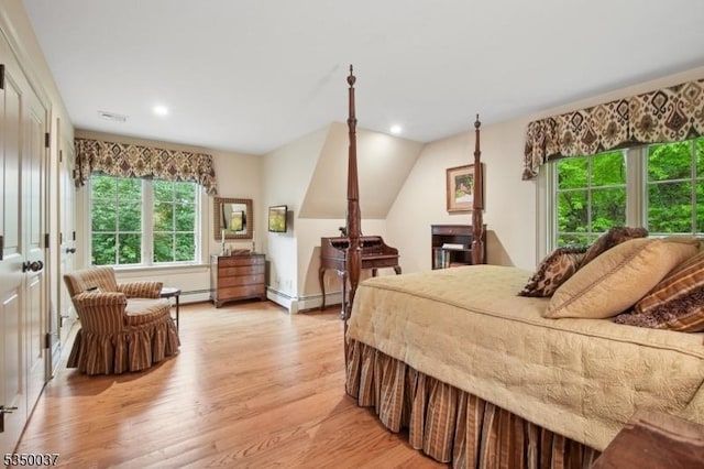 9 Valley View Dr, Lebanon Twp, NJ 07830 - bedroom with multiple windows, light wood finished floors, and recessed lighting