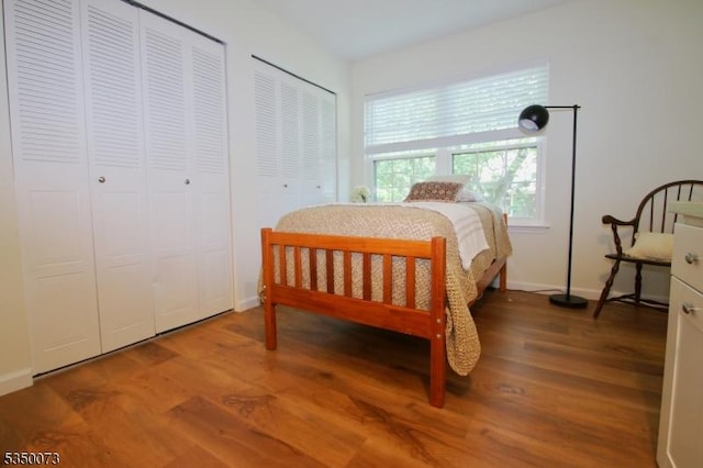 21 Crabapple Ln, Franklin Twp, NJ 08823 - bedroom featuring wood finished floors, two closets, and baseboards