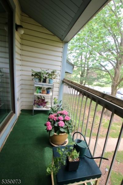 21 Crabapple Ln, Franklin Twp, NJ 08823 - view of balcony