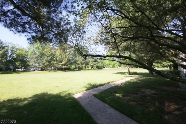 21 Crabapple Ln, Franklin Twp, NJ 08823 - view of grassy yard