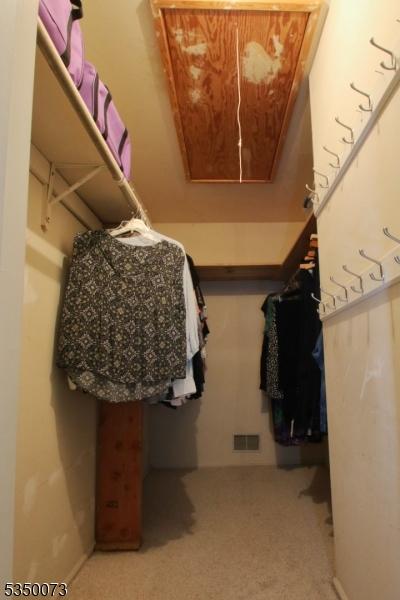 21 Crabapple Ln, Franklin Twp, NJ 08823 - walk in closet featuring attic access and carpet flooring