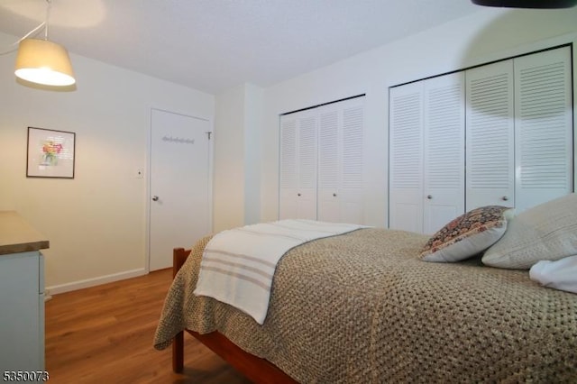 21 Crabapple Ln, Franklin Twp, NJ 08823 - bedroom with wood finished floors, multiple closets, and baseboards