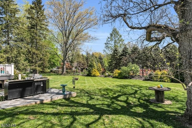view of yard