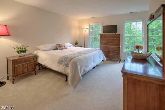 4 Rocky Glen Way, Tewksbury Twp, NJ 08833 - bedroom with light colored carpet