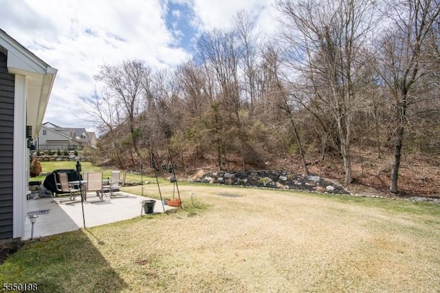 view of yard featuring a patio area