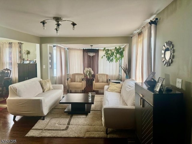 living room featuring wood finished floors