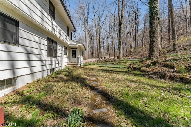 view of yard featuring entry steps