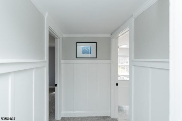 doorway with a decorative wall, ornamental molding, and wainscoting