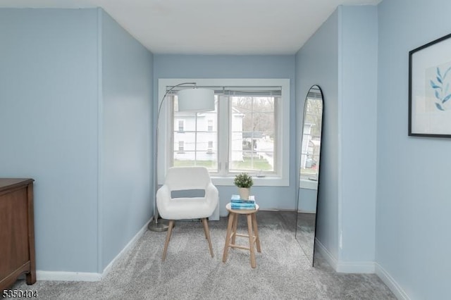 living area with carpet floors and baseboards