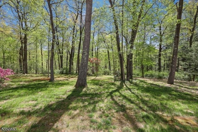 view of yard featuring a forest view