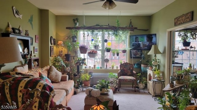 living area featuring a ceiling fan and carpet