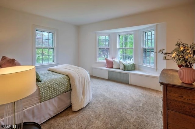 bedroom with multiple windows and light colored carpet