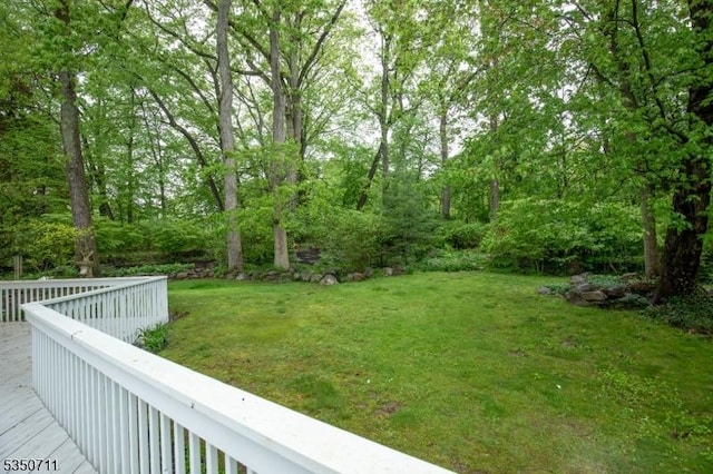 view of green lawn