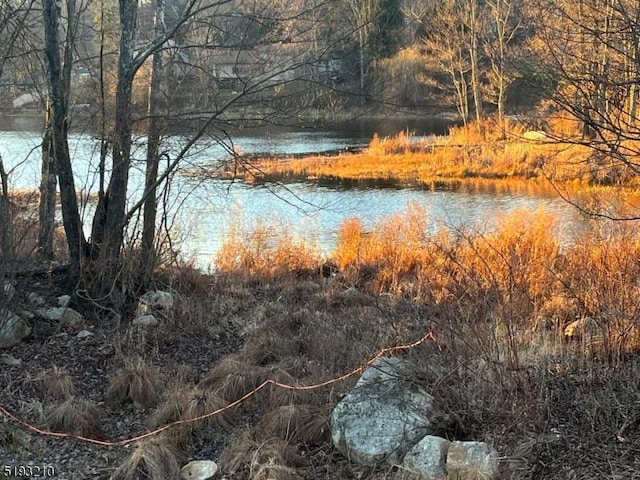 view of water feature with a forest view