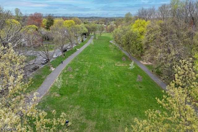 drone / aerial view