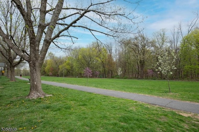 exterior space