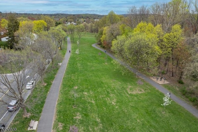 bird's eye view with a view of trees