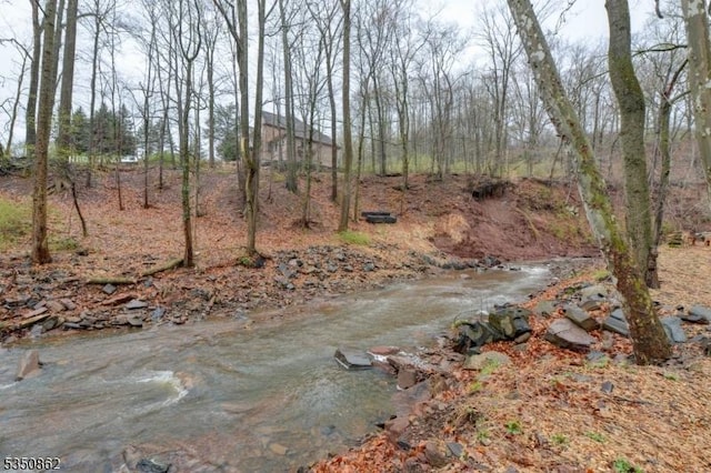 1 Dock Watch Hollow Rd, Warren Twp, NJ 07059 - water view