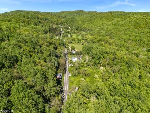 561 Harmony Brass Castle Rd, Harmony Twp, NJ 08865 - bird's eye view of a forest