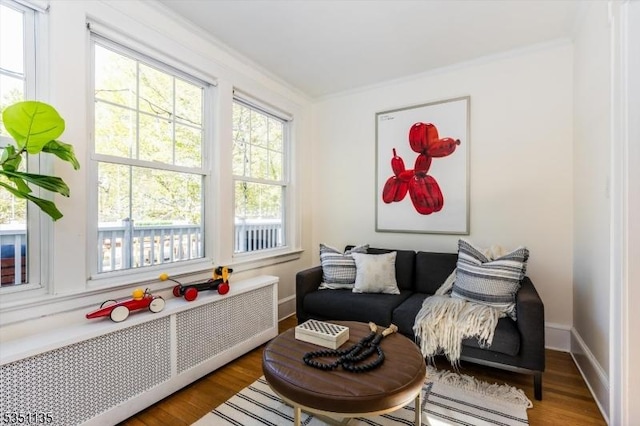 sitting room with ornamental molding, wood finished floors, and radiator