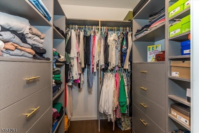 walk in closet with wood finished floors