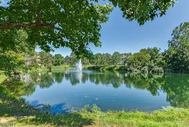 417 Penns Way, Bernards Twp, NJ 07920 - water view