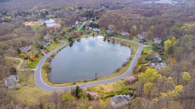 bird's eye view with a water view and a wooded view