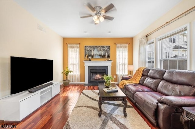 living room featuring ceiling fan, visible vents, a wealth of natural light, and wood finished floors