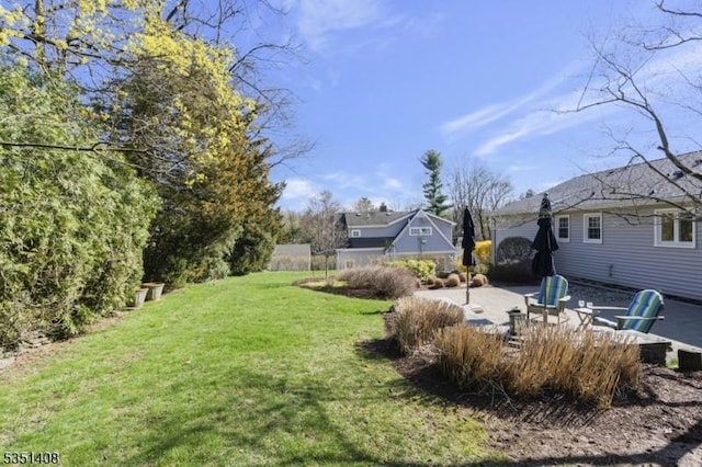 view of yard featuring a patio area