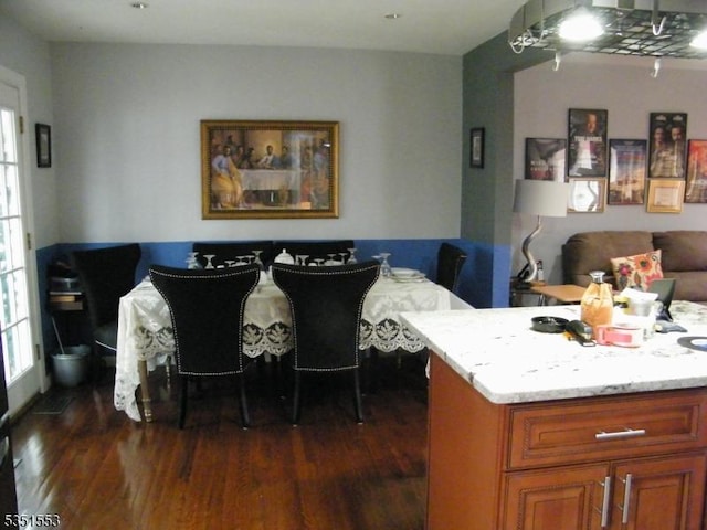 dining room featuring plenty of natural light and dark wood-style flooring