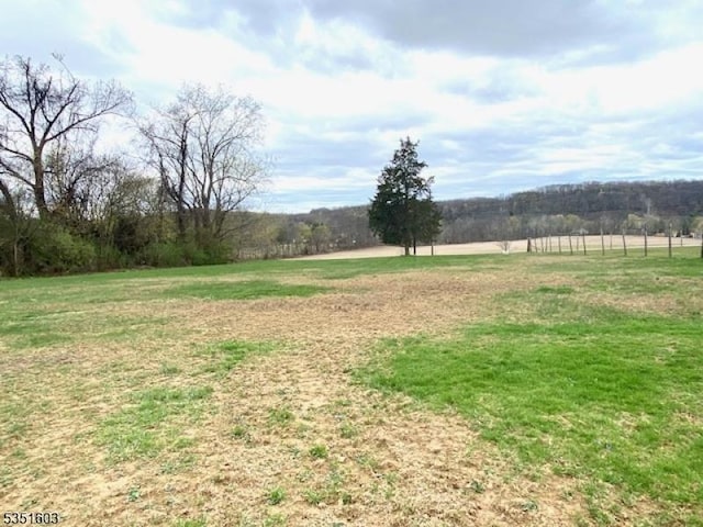 view of yard featuring a rural view