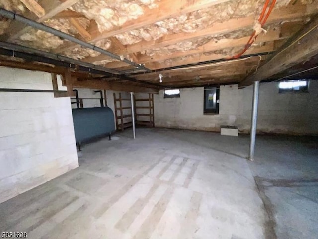 unfinished basement featuring heating fuel and electric panel