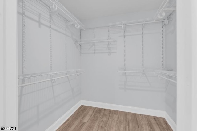 walk in closet featuring wood finished floors