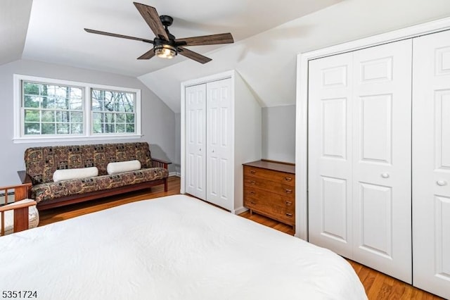 161 Orchard Rd, Montgomery Twp, NJ 08558 - bedroom with two closets, a baseboard radiator, light wood-type flooring, a ceiling fan, and lofted ceiling