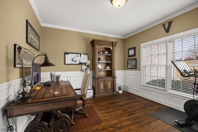 office featuring crown molding, a wainscoted wall, and dark wood finished floors