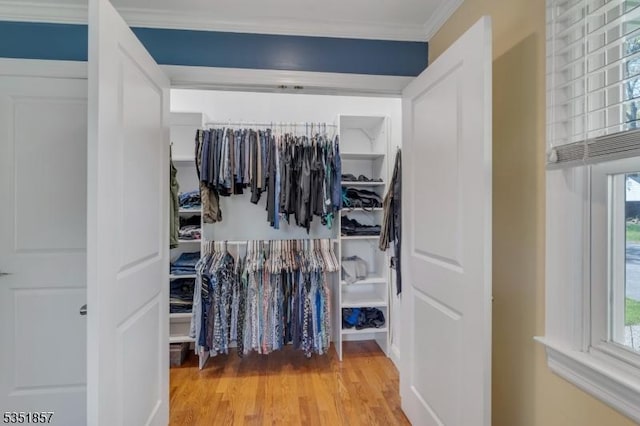 walk in closet with wood finished floors