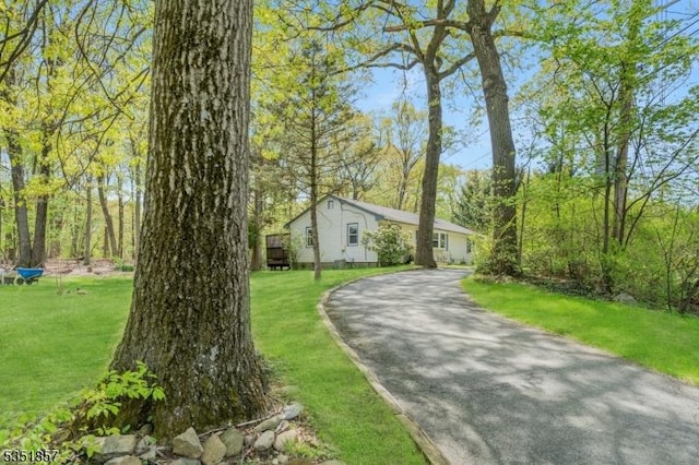 view of home's exterior featuring a yard and driveway