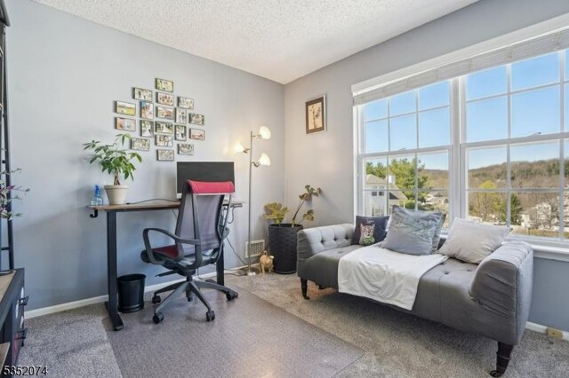 carpeted office with a textured ceiling and baseboards