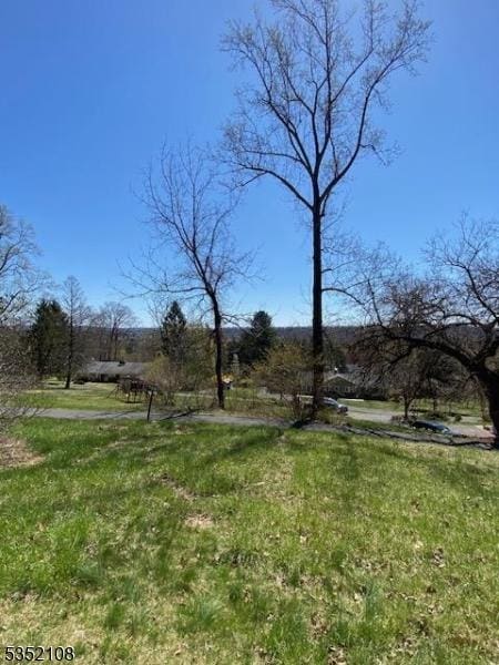 28 Dogwood Ln, Washington Twp, NJ 07882 - view of yard