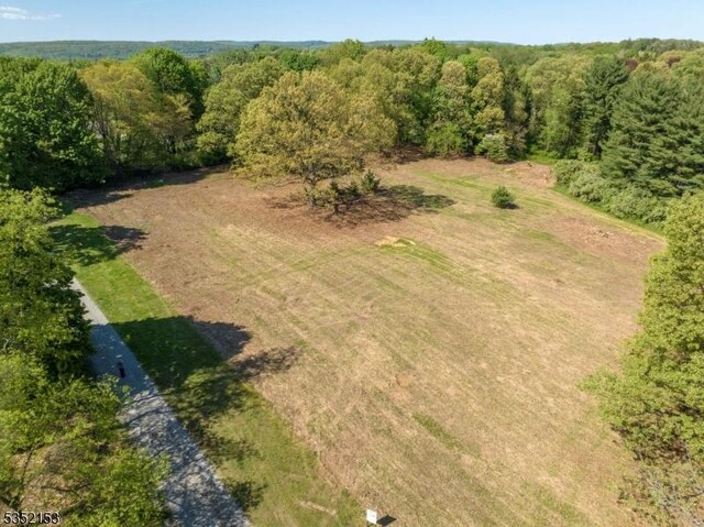 2 County Line Rd, Mendham Boro, NJ 07945