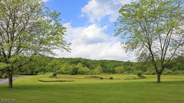 5 Dege Farm Rd, Tewksbury Twp, NJ 07830 - surrounding community featuring a lawn and a forest view