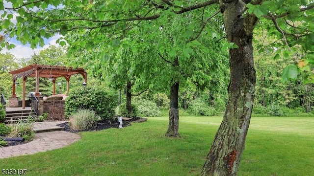 5 Dege Farm Rd, Tewksbury Twp, NJ 07830 - view of green lawn with a pergola