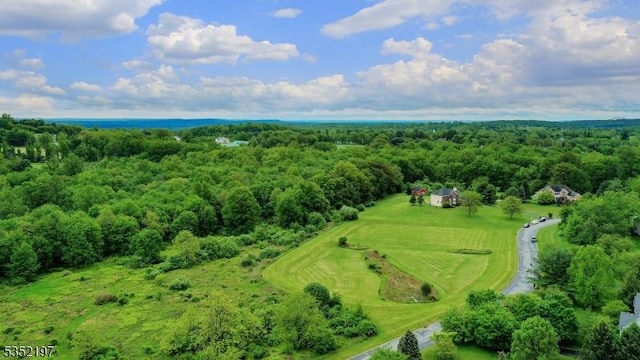 5 Dege Farm Rd, Tewksbury Twp, NJ 07830 - bird's eye view of a heavily wooded area